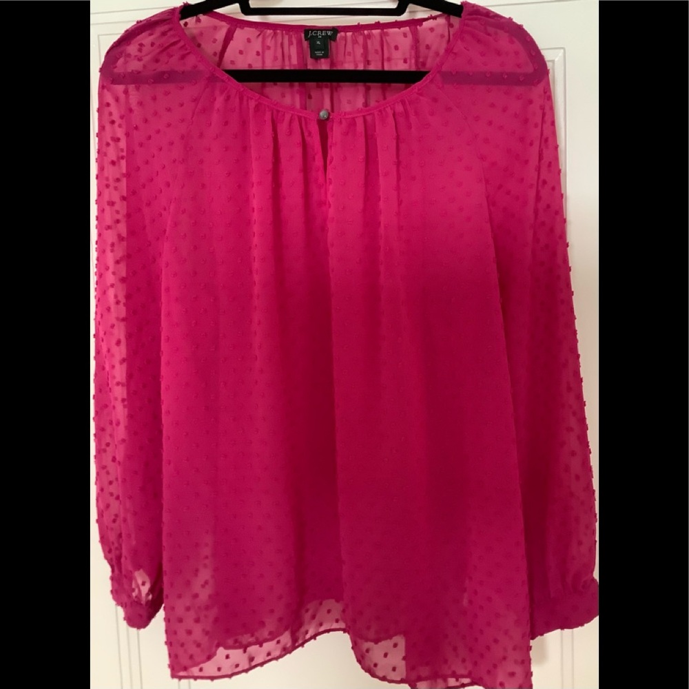 J Crew sheer l/s blouse